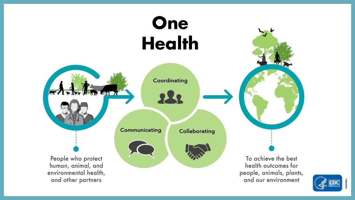  Graphic of One Health approach depicting the interconnections between human animal, and environment health by communicating, collaborating, and coordinating to achieve best health outcomes for all.