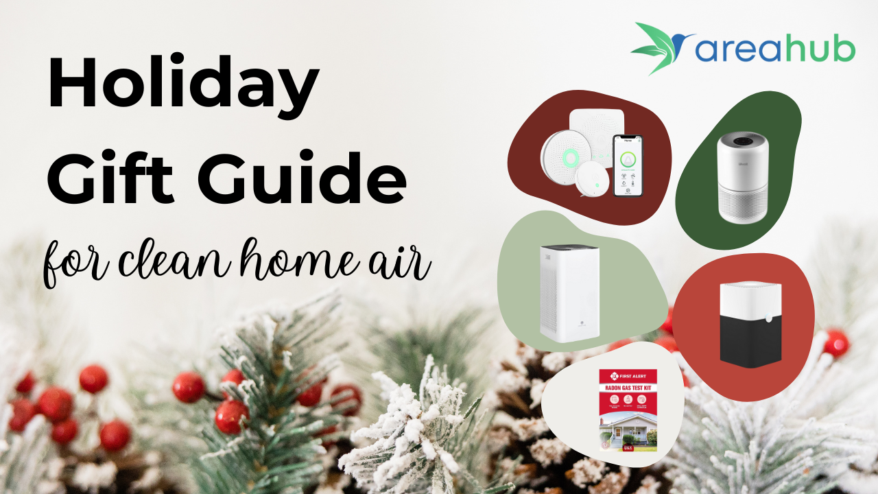 Healthy Home Holiday Gift Guide